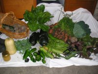 Fresh produce from the allotment, 2006.