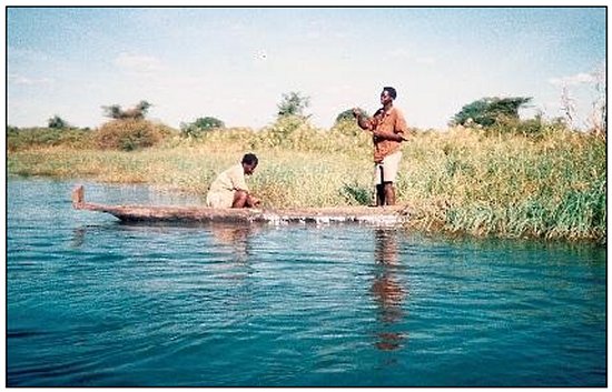 Local fishermen